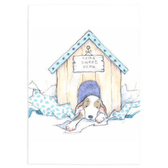 Pet Blankets